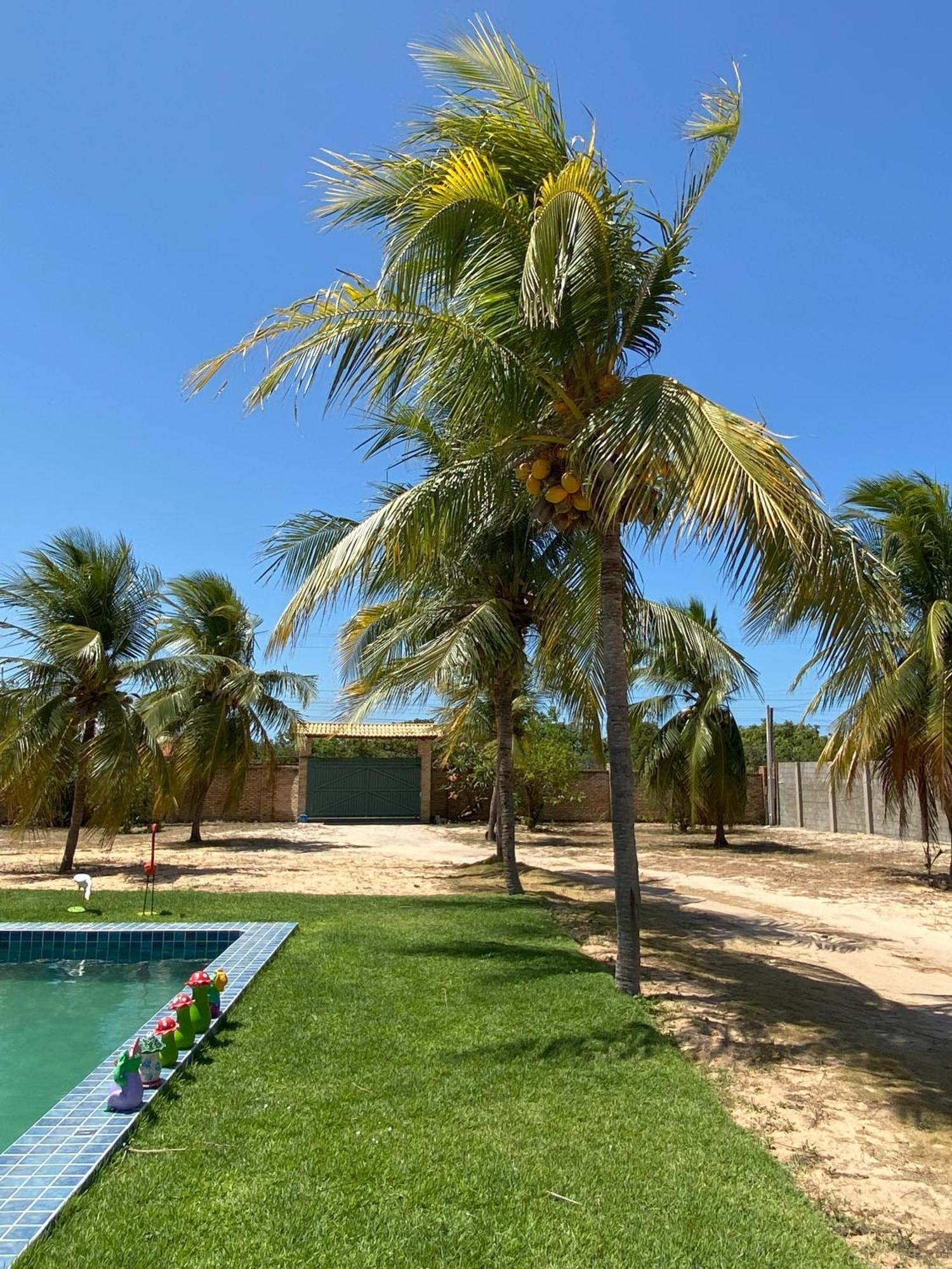 Sitio Sossego - A 5 Min Da Praia Das Fontes Beberibe Eksteriør billede